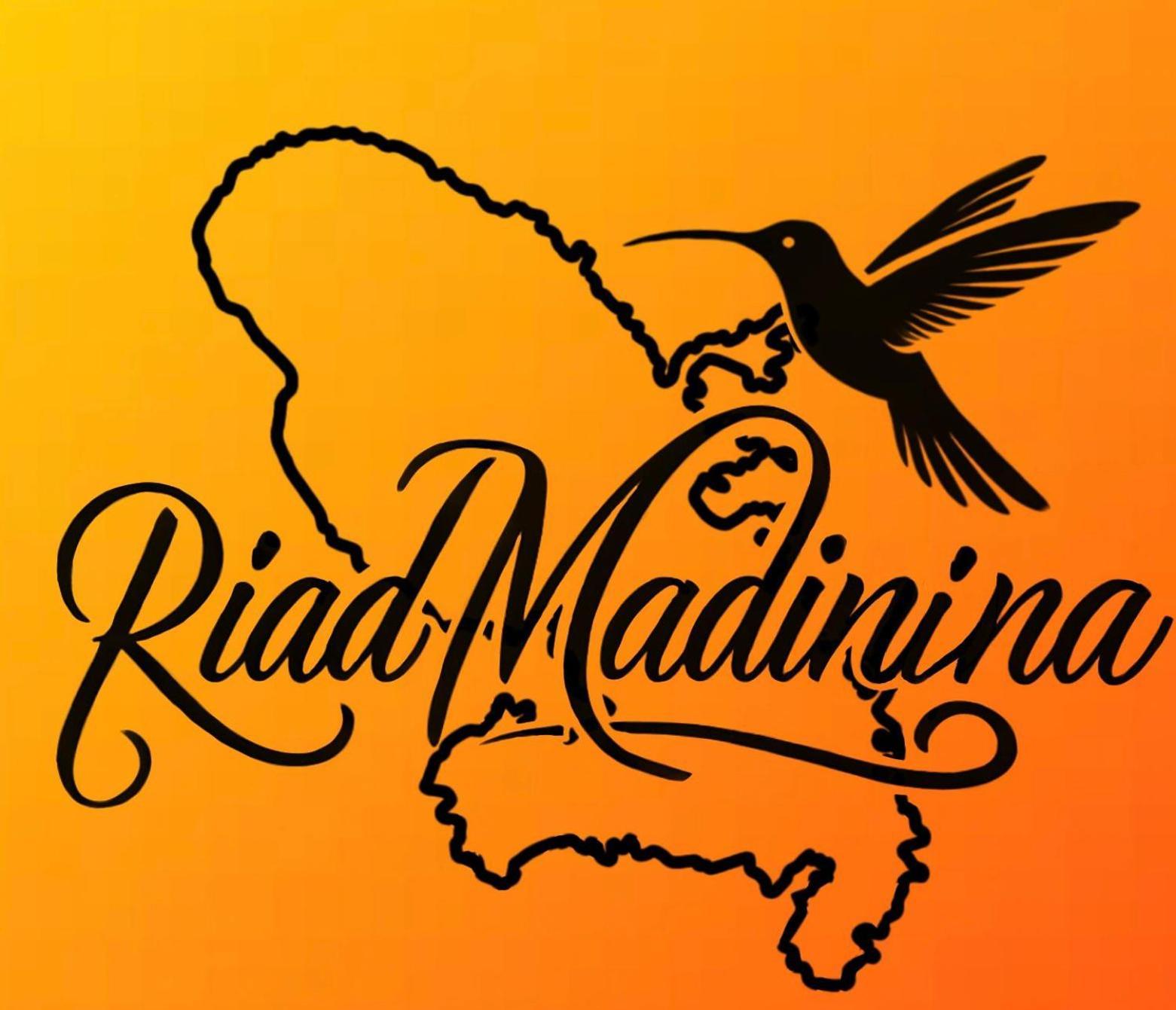 Riad Madinina マラケシュ エクステリア 写真